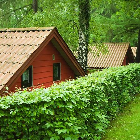 Waldidylle - Bungalows An Der Talsperre Kriebstein Exterior foto